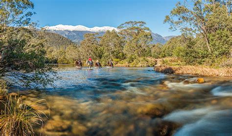 Snowy Mountains Nsw National Parks