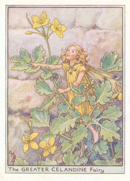 Flower Fairy Art Yellow Fairies Antique Fairy Prints