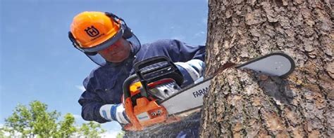 Top 5 Chainsaw Safety Tips That Everyone Should Know