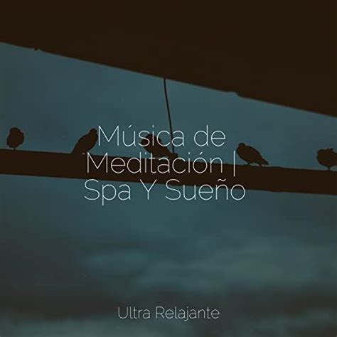 Amazon Music Unlimited Musica Para Meditar Medita O Zen