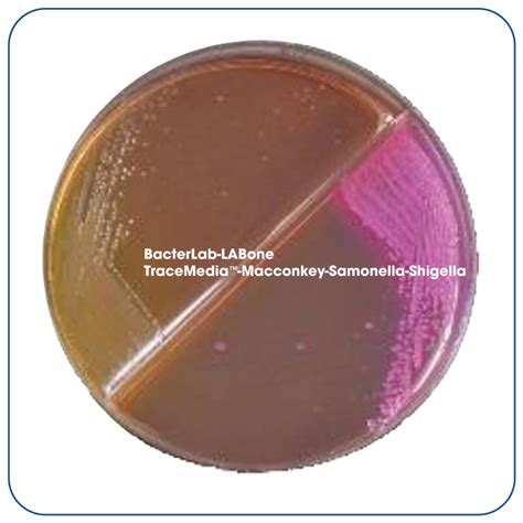 Tracemedia™ Macconkey Agar Samonella Shigella Agar Bacterlab