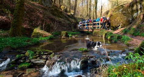 Quatre vingts sites du Mullerthal à re découvrir