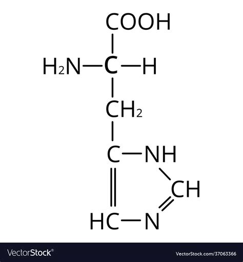 Amino acid histidine chemical molecular formula Vector Image