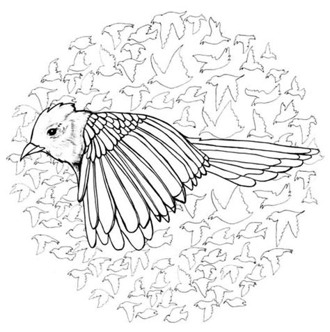 Птицы - раскраски часть 2 | Moy-Kroha.INFO