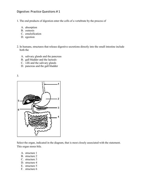 Digestive Practice Questions 1