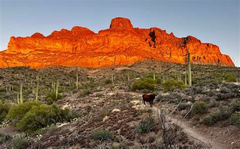 If You Don’t Have Time for a Long Thru-Hike, the Arizona Trail Is a ...