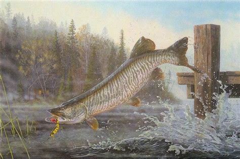 Pin By Todd Konitzer On Pike Musky Salt Water Fishing Musky