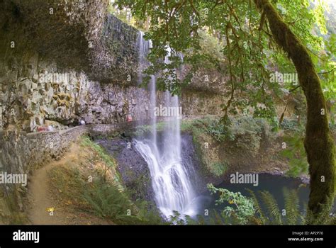 Lower South Falls at Silver Falls State Park near Silverton Oregon OR ...