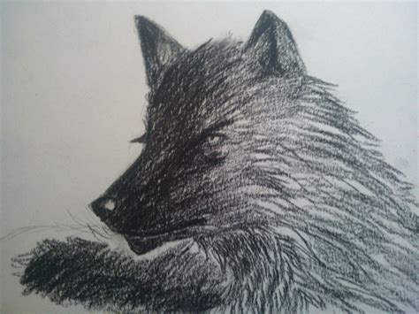 Black Wolf by Rukior on DeviantArt