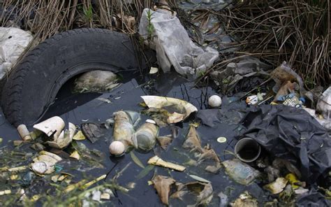 Recolectan 2 mil 400 metros cúbicos de maleza y residuos en el Lago de