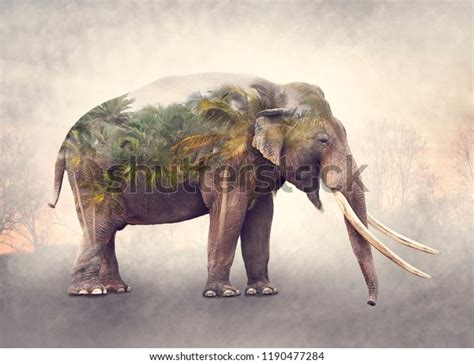 4,604 Double Exposure Animals Images, Stock Photos & Vectors | Shutterstock