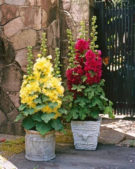 How to Make a Container Butterfly Garden #Butterfly #container #Garden ...