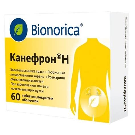 Канефрон Н таблетки 60 шт., цены от 642 ₽, купить в Москве | Мегаптека