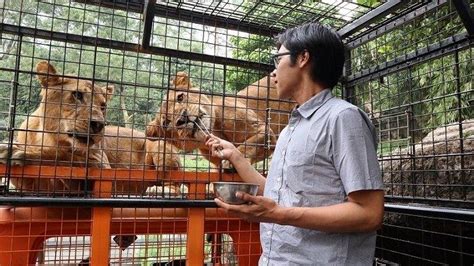 Harga Tiket Masuk Taman Safari Bogor November Wisata Rekreasi