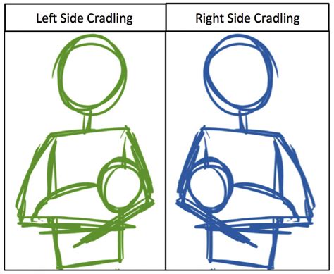 Cradling on the left invokes a left visual field bias to monitor baby ...