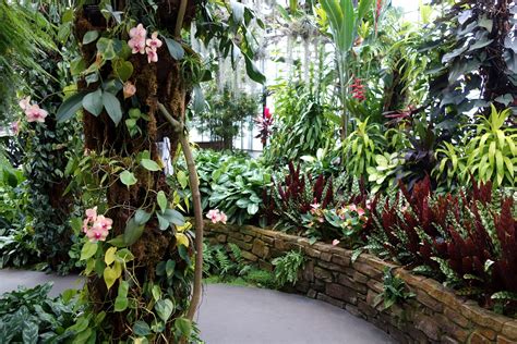 23 Stylish Terrace Landscape Tropical - Home Decoration and Inspiration
