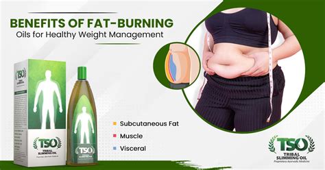 Benefits of Fat-Burning Oils for Healthy Weight Management