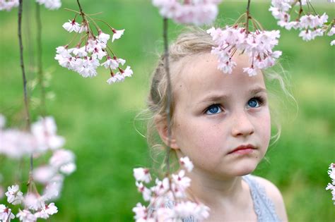 Masaüstü portre sarışın Gözler Çiçekler Ot Fotoğraf yeşil saç