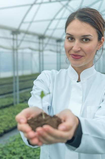 Manos De Mujer Sosteniendo Una Planta Verde En El Suelo Nuevo Concepto