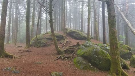 Early Autumn Trip to Roan Mountain State Park - FOREVER TOURING