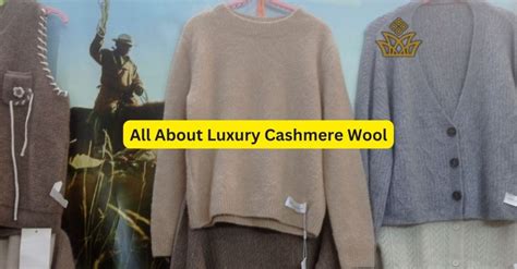 Elegant Cashmere wool: A Complete Guide 2024