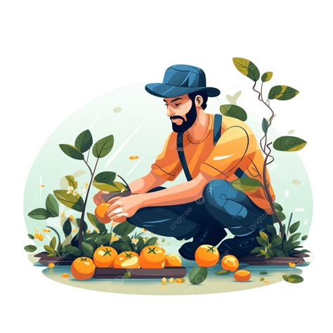 Farmers Picking Oranges In Autumn Autumn Harvest Busy Farming Harvest