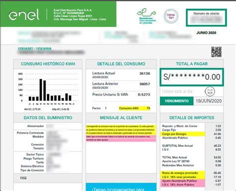 Entidad Resultado Tradicional Consulta Recibo Luz Enel Peru Saltar