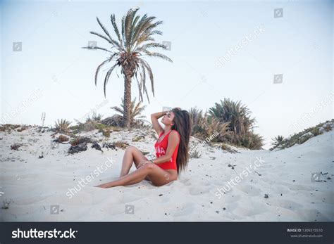 Lovely Sexy Brunette Girl Swimsuit Posing Stock Photo 1309315510 Shutterstock