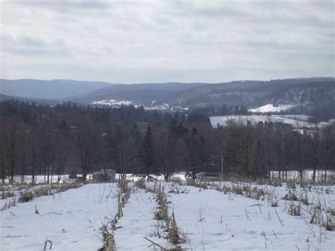 🔥 [40+] Upstate NY Wallpapers | WallpaperSafari