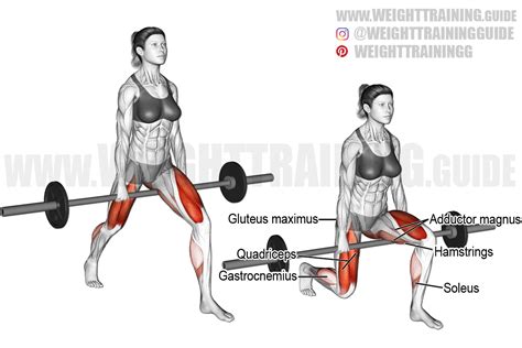 Barbell-between-legs split squat exercise instructions and video