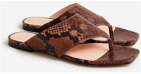 J Crew New Capri Wide Thong Sandals In Brown Lyst