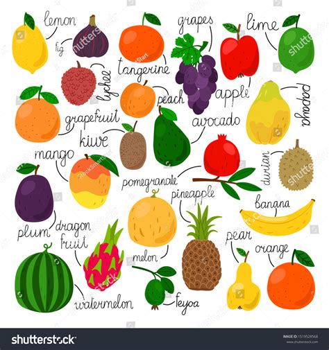 Flowers And Fruit Are Edible at Eldon Berthold blog