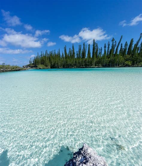 Natural Swimming Pool Of Oro Bay Stock Photo Image Of Sand