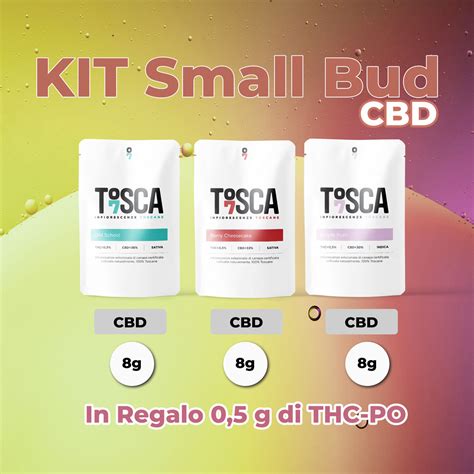 Kit Small Buds Cbd Tosca