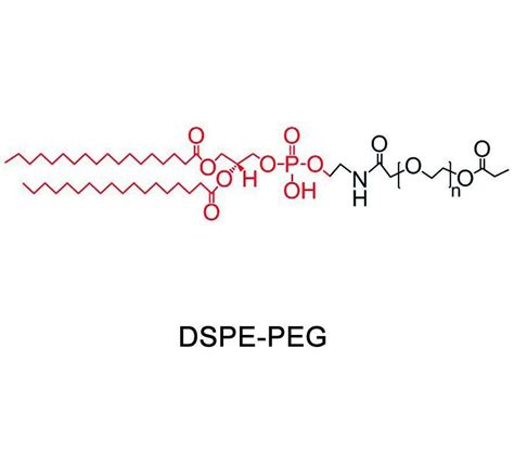 DSPE PEG2000磷脂 聚乙二醇渝偲医药提供了化学结构式参考 化工仪器网