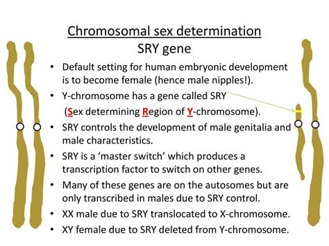 2biii Sex Determination Ppt Download