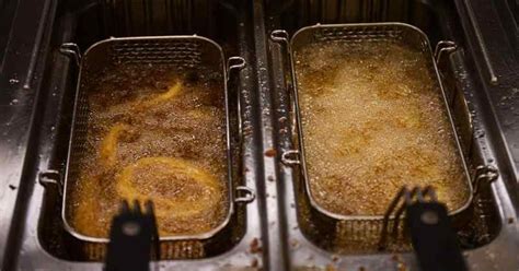 When Should You Change the Oil in the Deep Fryer? - Terra's Kitchen