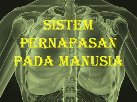 Tujuan Pembelajaran Jenis Jenis Pernapasan Penyakit Atau Gangguan Pada