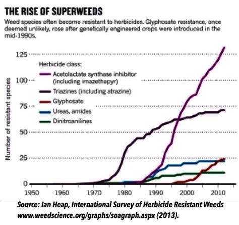 Genetic Engineering And The Emergence Of Herbicide Resistant Weeds The Credible Hulk