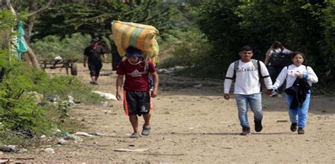 ONG Registra 119 Muertes En Enfrentamientos En Zonas Fronterizas De