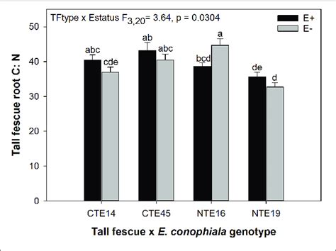 Interactive Effects Of Tall Fescue Symbiotic Genotype And Endophyte