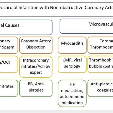 Classification Diagnosis And Management Of Myocardial Infarction With