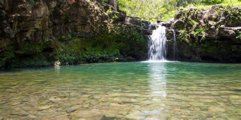 Maui Waterfall & Rainforest Hike | Hawaii Tours and Activities