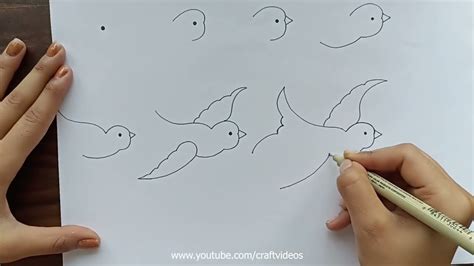 How To Draw A Bird | Bird Drawing Step by Step