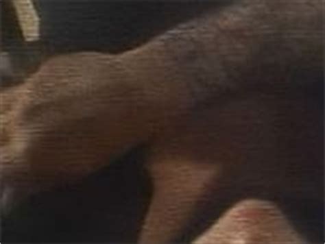 Sandra Dee Nude Pics Videos Sex Tape