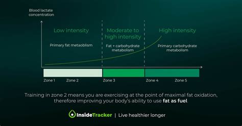 Zone 2 Heart Rate Training A Way To Enhance Endurance And Promote