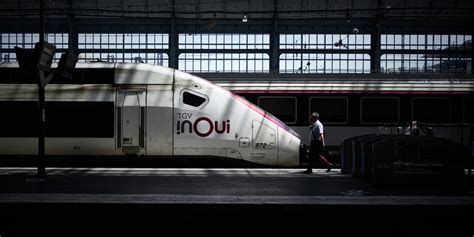 Chat écrasé par un TGV la SNCF condamnée à une amende de 1 000 euros