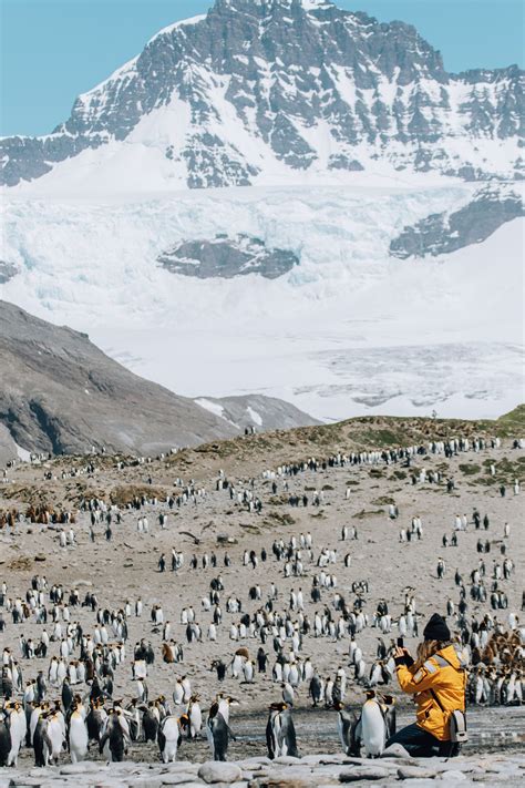 Antarctica Cruise | 9 Things to Know before taking a Trip to Antarctica