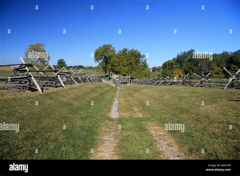 Looking North West Along The Sunken Road Bloody Lane In The Antietam