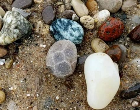 15 Places to Find Petoskey Stones in Michigan: Rock-Hunting Guide | My ...